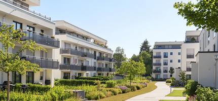 Avis csf invendus neufs